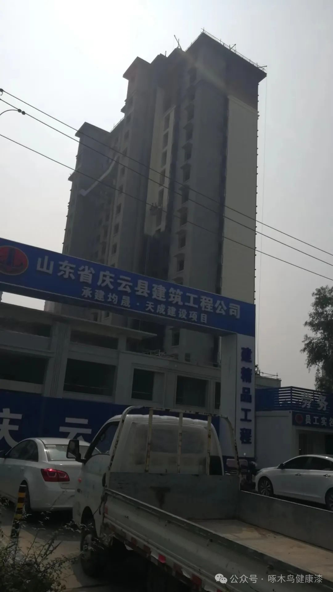 啄木鸟漆业集团  真石漆 