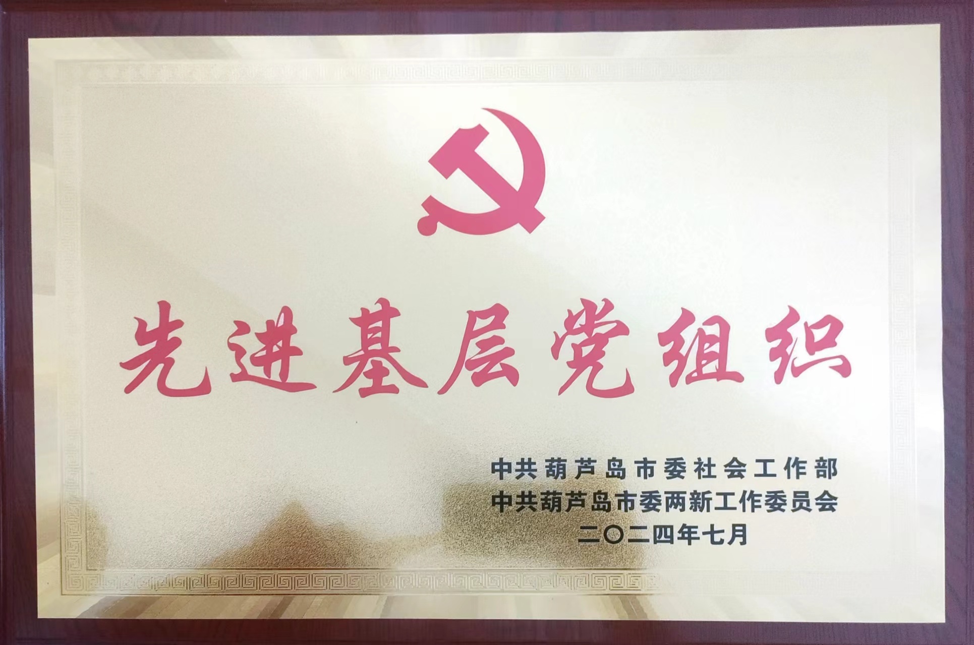 啄木鸟漆业集团党支部荣获葫芦岛市“先进基层党组织”荣誉称号