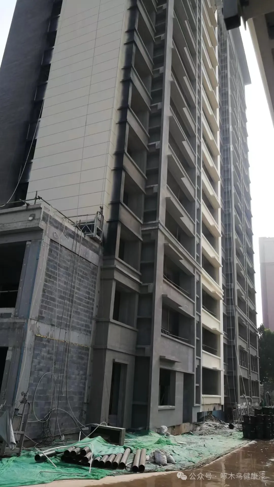 啄木鸟漆业集团  真石漆 